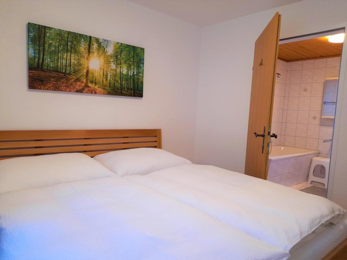 Sonnenchalet Neusess Mauterndorf  Zewnętrze zdjęcie