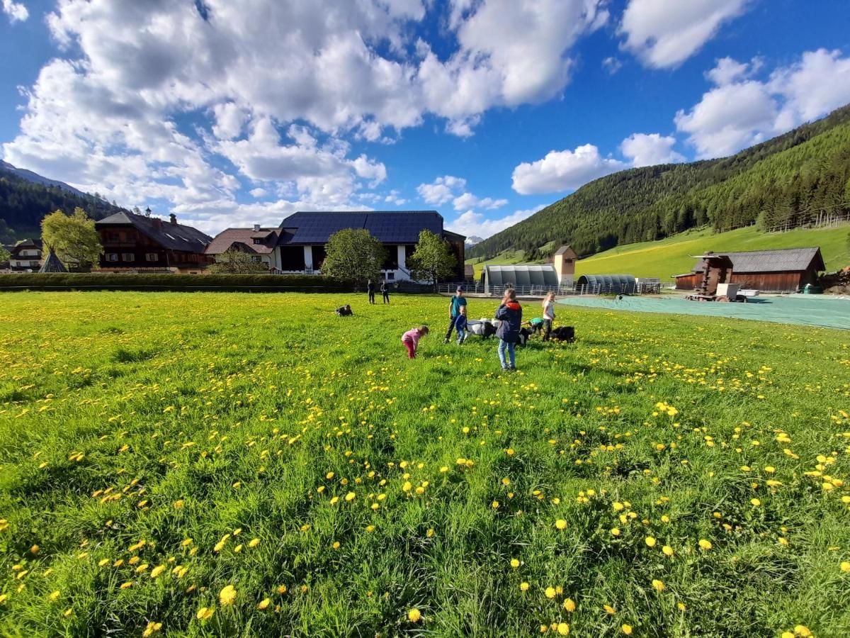 Sonnenchalet Neusess Mauterndorf  Zewnętrze zdjęcie